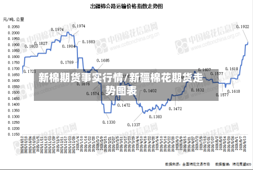 新棉期货事实行情/新疆棉花期货走势图表-第2张图片