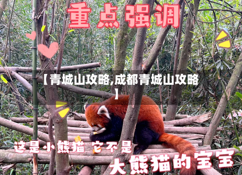 【青城山攻略,成都青城山攻略】