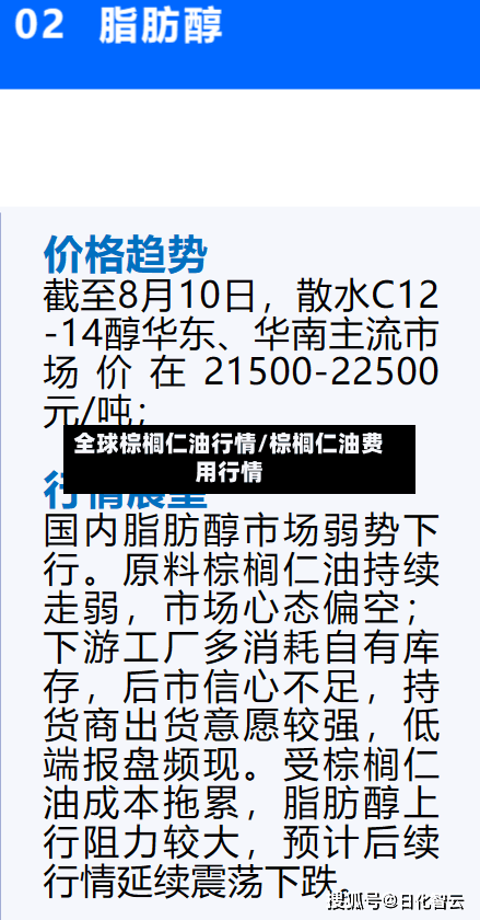 全球棕榈仁油行情/棕榈仁油费用行情