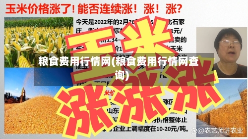 粮食费用行情网(粮食费用行情网查询)-第2张图片