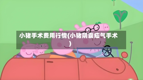 小猪手术费用行情(小猪阴囊疝气手术)-第2张图片