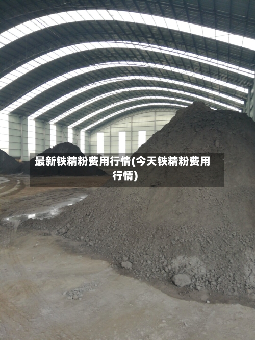 最新铁精粉费用行情(今天铁精粉费用行情)-第2张图片