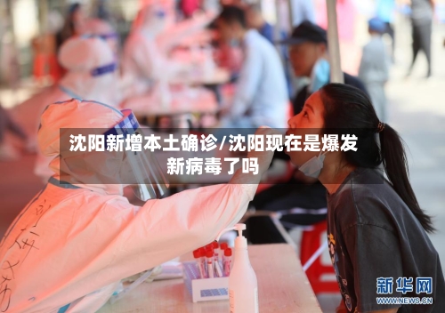 沈阳新增本土确诊/沈阳现在是爆发新病毒了吗