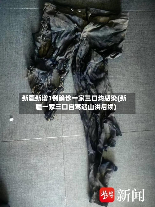 新疆新增1例确诊一家三口均感染(新疆一家三口自驾遇山洪后续)-第3张图片