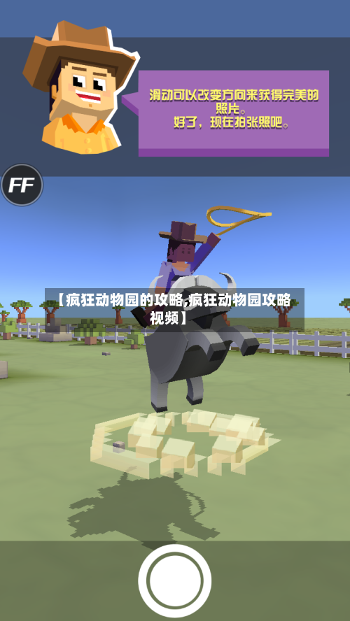 【疯狂动物园的攻略,疯狂动物园攻略视频】