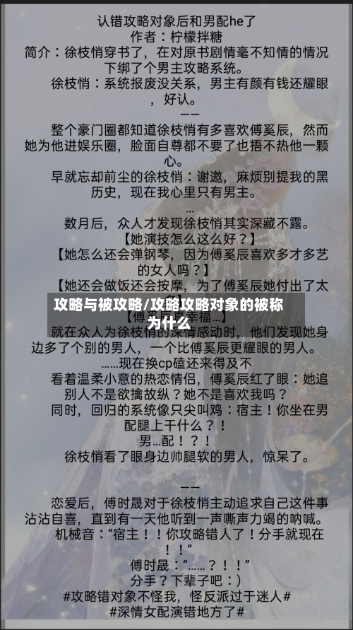 攻略与被攻略/攻略攻略对象的被称为什么-第2张图片