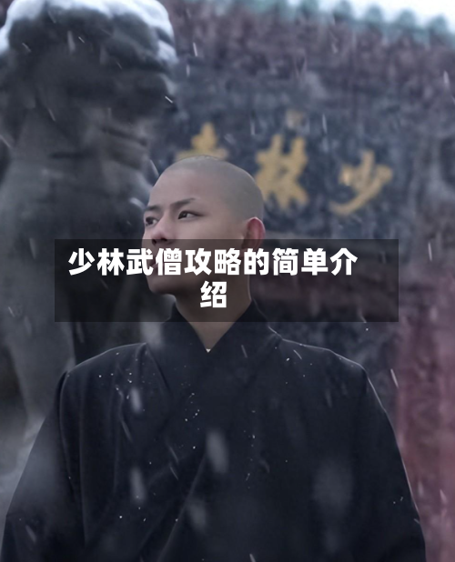 少林武僧攻略的简单介绍-第3张图片