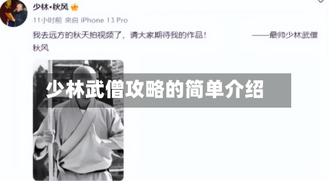 少林武僧攻略的简单介绍