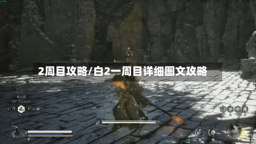 2周目攻略/白2一周目详细图文攻略-第3张图片