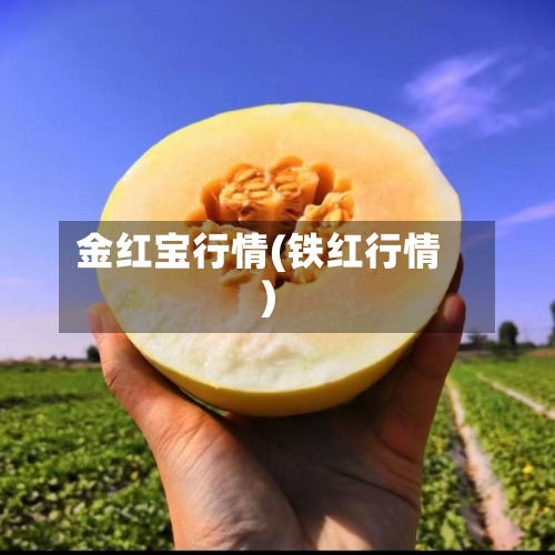 金红宝行情(铁红行情)