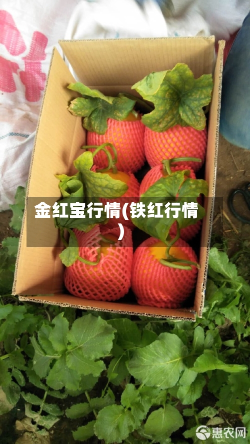 金红宝行情(铁红行情)-第2张图片