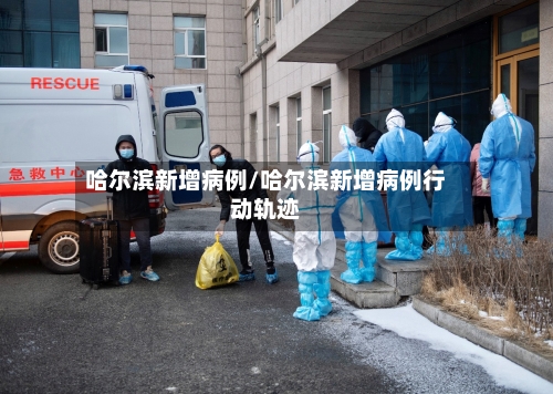 哈尔滨新增病例/哈尔滨新增病例行动轨迹