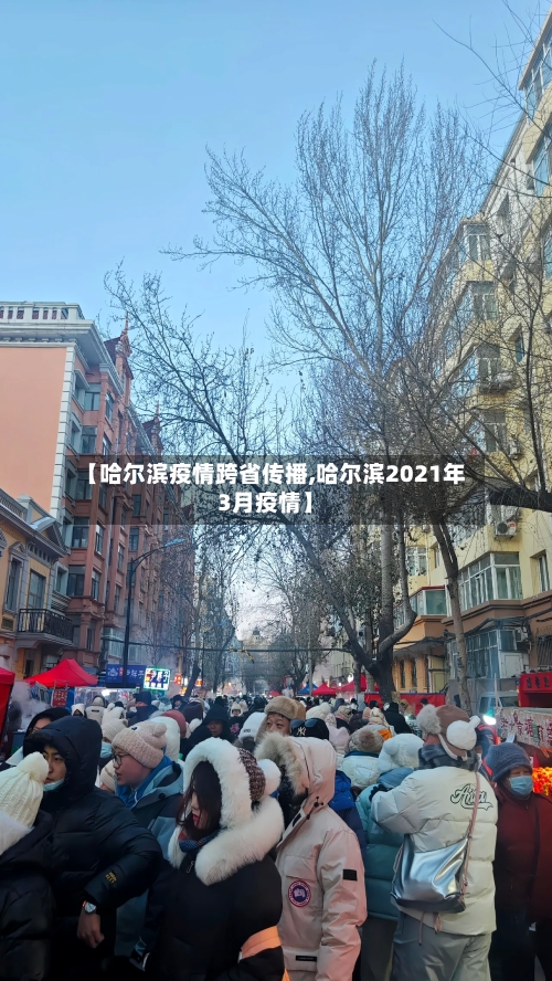 【哈尔滨疫情跨省传播,哈尔滨2021年3月疫情】-第2张图片