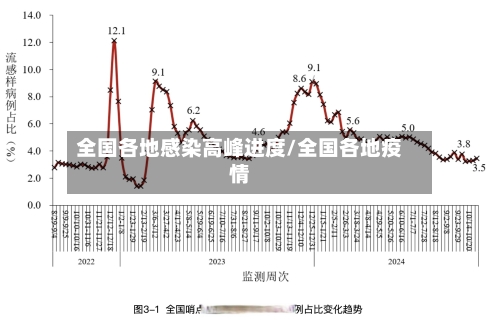 全国各地感染高峰进度/全国各地疫情-第2张图片