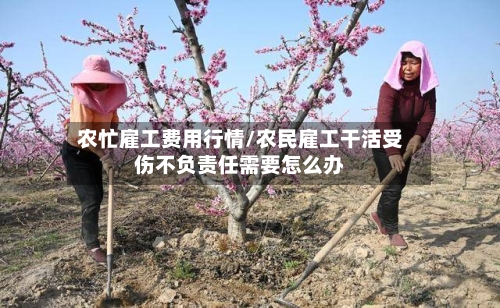 农忙雇工费用行情/农民雇工干活受伤不负责任需要怎么办