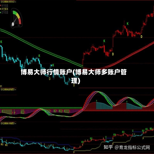 博易大师行情账户(博易大师多账户管理)-第3张图片