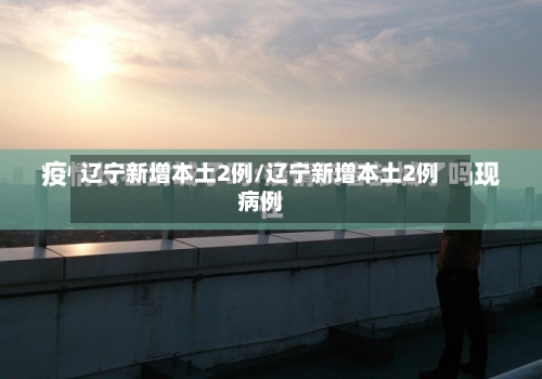 辽宁新增本土2例/辽宁新增本土2例病例-第2张图片