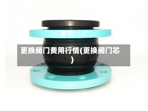 更换阀门费用行情(更换阀门芯)-第2张图片