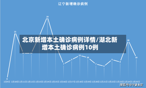 北京新增本土确诊病例详情/湖北新增本土确诊病例10例-第2张图片