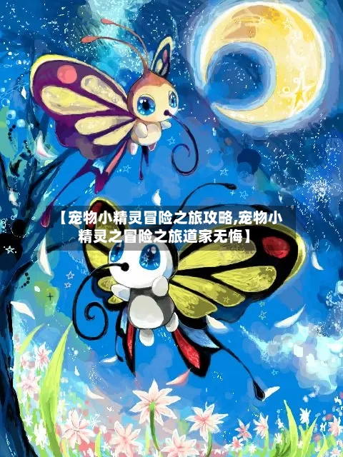 【宠物小精灵冒险之旅攻略,宠物小精灵之冒险之旅道家无悔】-第2张图片