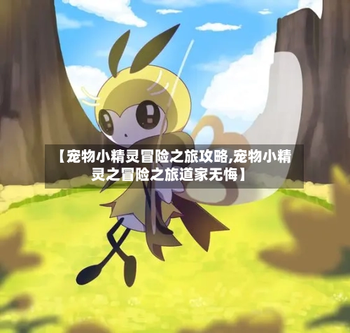 【宠物小精灵冒险之旅攻略,宠物小精灵之冒险之旅道家无悔】