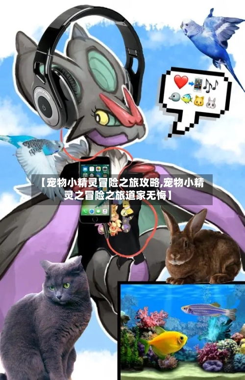【宠物小精灵冒险之旅攻略,宠物小精灵之冒险之旅道家无悔】-第3张图片