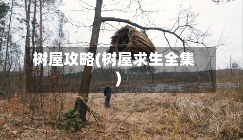 树屋攻略(树屋求生全集)-第2张图片