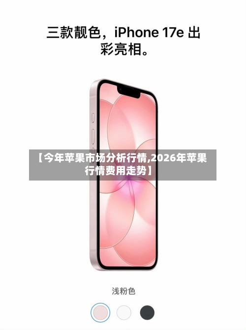 【今年苹果市场分析行情,2026年苹果行情费用走势】