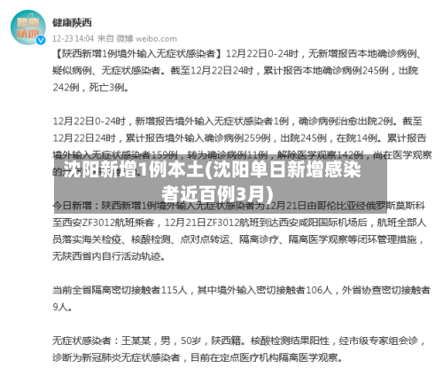 沈阳新增1例本土(沈阳单日新增感染者近百例3月)
