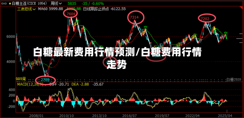 白糖最新费用行情预测/白糖费用行情走势-第3张图片
