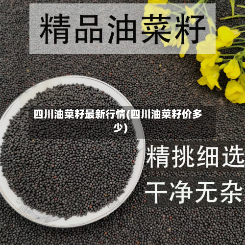 四川油菜籽最新行情(四川油菜籽价多少)-第2张图片