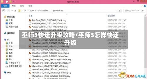 巫师3快速升级攻略/巫师3怎样快速升级