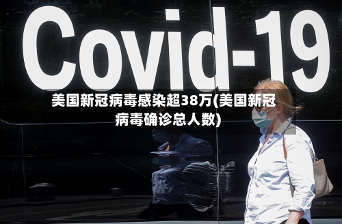 美国新冠病毒感染超38万(美国新冠病毒确诊总人数)-第2张图片