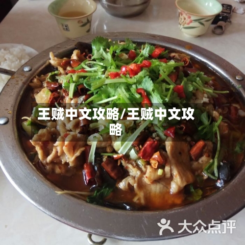 王贼中文攻略/王贼中文攻略
