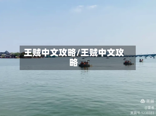 王贼中文攻略/王贼中文攻略-第2张图片