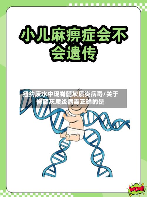 纽约废水中现脊髓灰质炎病毒/关于脊髓灰质炎病毒正确的是-第2张图片