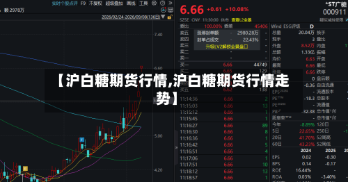 【沪白糖期货行情,沪白糖期货行情走势】