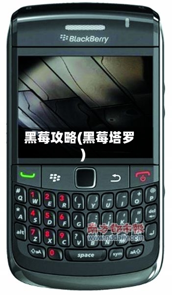 黑莓攻略(黑莓塔罗)