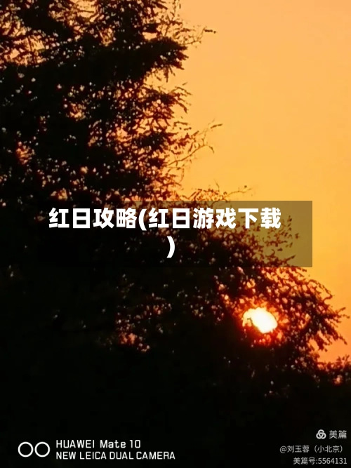红日攻略(红日游戏下载)