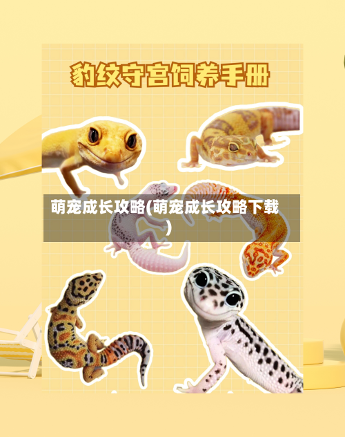 萌宠成长攻略(萌宠成长攻略下载)