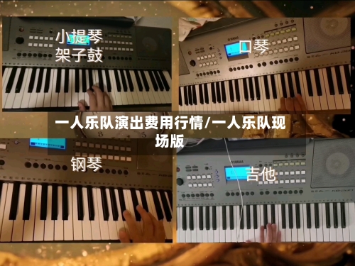 一人乐队演出费用行情/一人乐队现场版-第3张图片