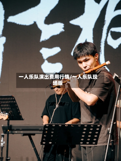 一人乐队演出费用行情/一人乐队现场版