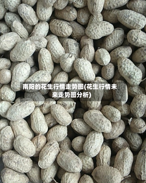 南阳的花生行情走势图(花生行情未来走势图分析)