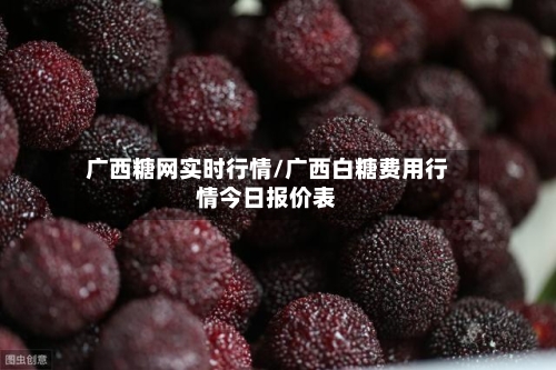 广西糖网实时行情/广西白糖费用行情今日报价表