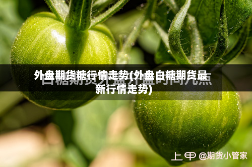 外盘期货糖行情走势(外盘白糖期货最新行情走势)