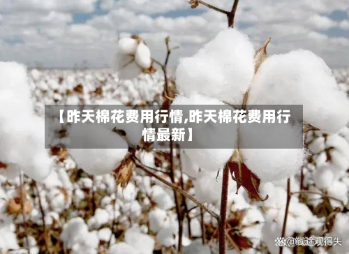 【昨天棉花费用行情,昨天棉花费用行情最新】