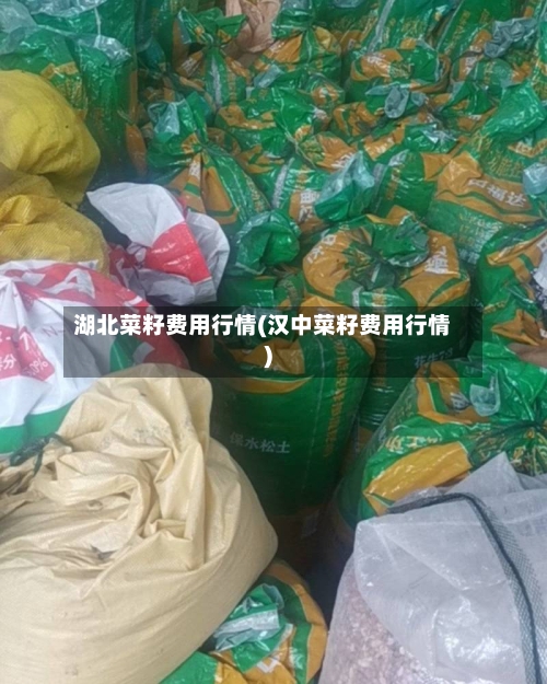湖北菜籽费用行情(汉中菜籽费用行情)