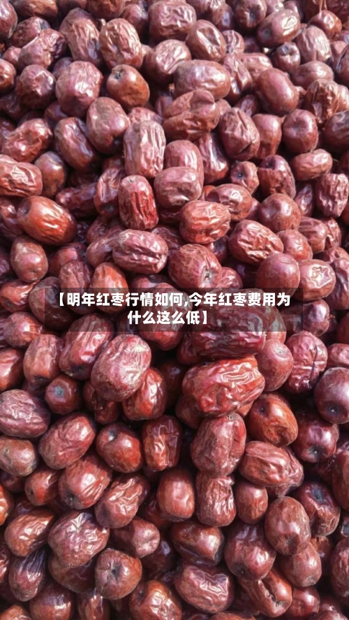 【明年红枣行情如何,今年红枣费用为什么这么低】-第2张图片