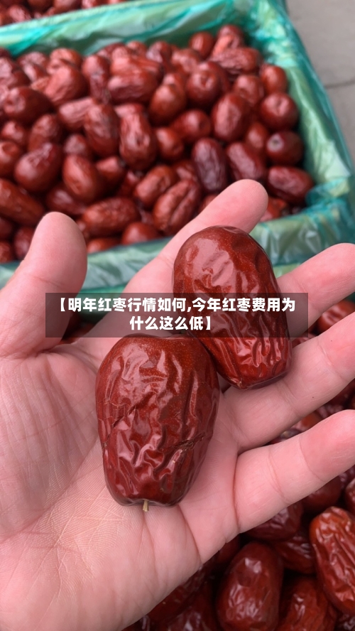【明年红枣行情如何,今年红枣费用为什么这么低】