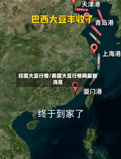 印度大豆行情/美国大豆行情网最新消息-第2张图片